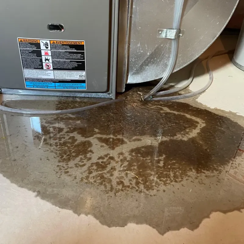 Appliance Leak Cleanup in Marine Corps Base Hawaii - MCBH, HI